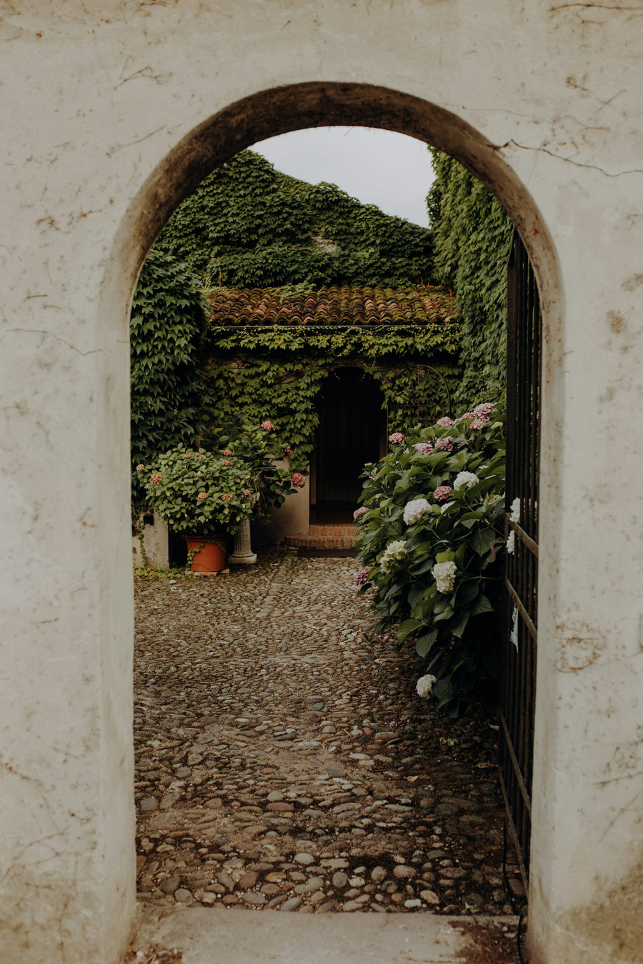 A weathered garden gate framed by flowers along a stone walkway in warm natural light