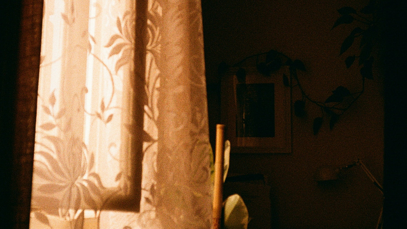 Warm afternoon sunlight filtering through a sheer lace curtain